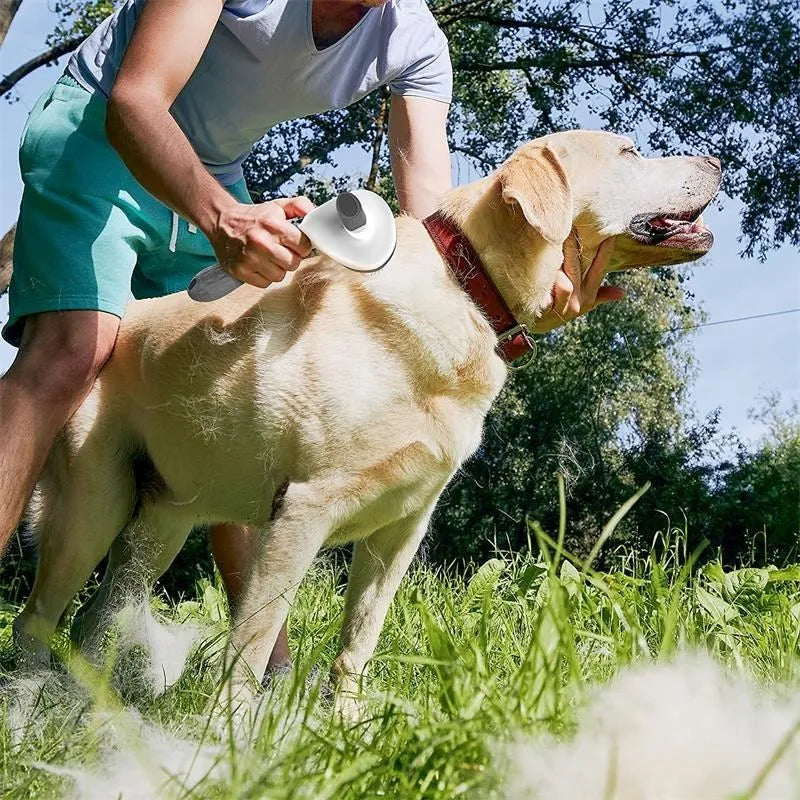 Brosse Animaux CUDDY™