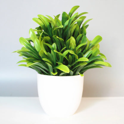 Plantes Artificielles SKAND™